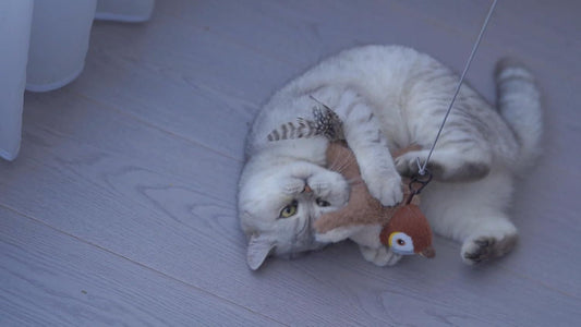NEDLIX 🐾Interactive Chirping Bird Toy for pets and babies