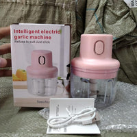 NEDLIX Electric Mini  Chopper 250ml(ELECTRIC)