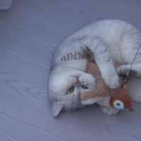NEDLIX 🐾Interactive Chirping Bird Toy for pets and babies